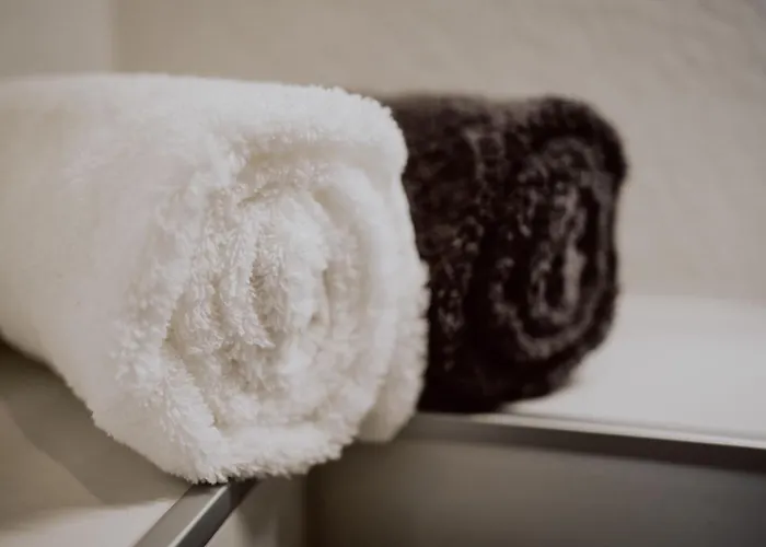 Rheinwald Apartment *